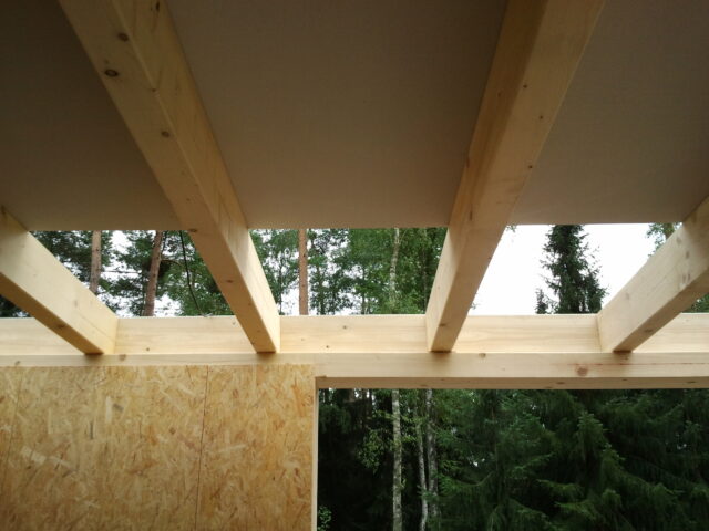 Einfamilienhaus EG Decke sichtbar