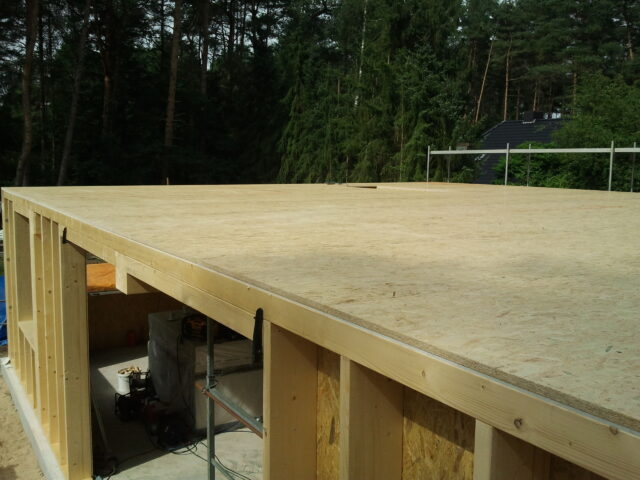 Einfamilienhaus EG Decke