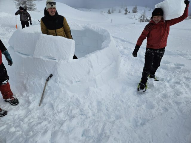 Schneeblöcke versetzen