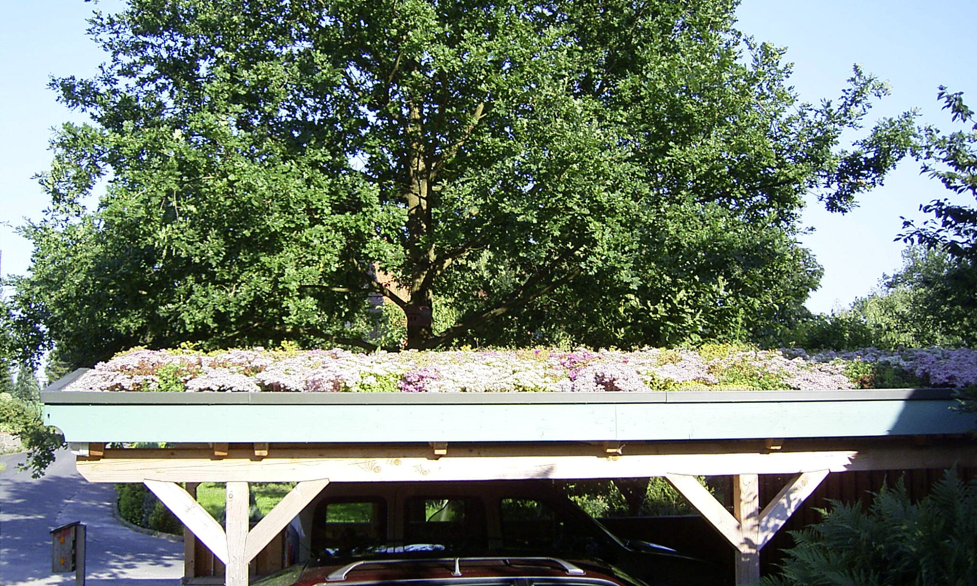 Carport mit extensiver Dachbegrünung